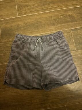 Bundle of 2  Art Class Striped Drawstring Swim trunks